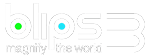 DIPLE Logo